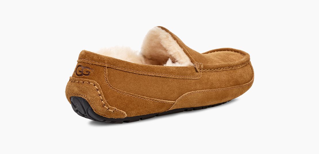 Men's Ascot Slipper