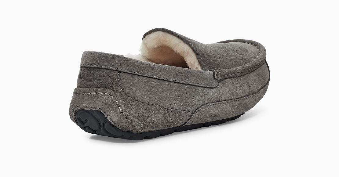 Men's Ascot Slipper