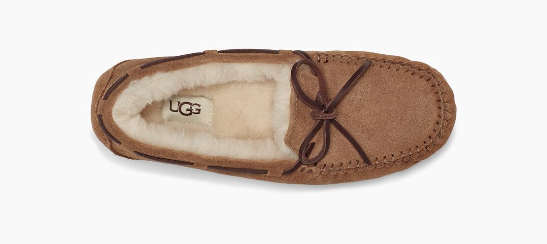 Women's Dakota Slipper